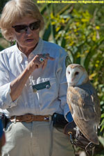 docent and owl